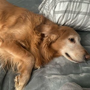 Meet your Posher, Sean